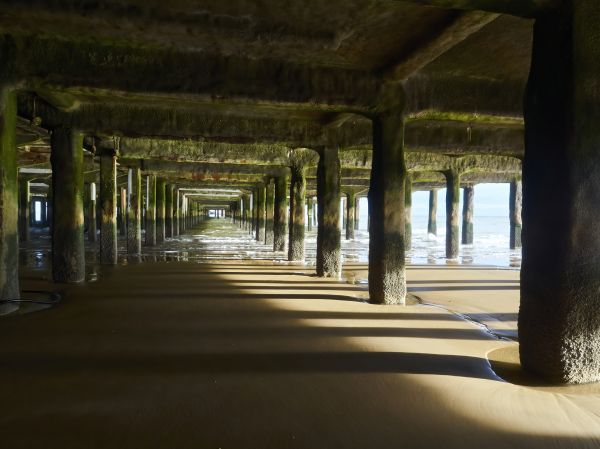 Cost of Pier And Beam Leveling in Lafayette